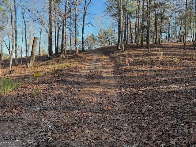 780 Banks Road, Ellijay, GA 30540