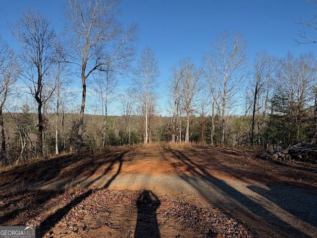 780 Banks Road, Ellijay, GA 30540