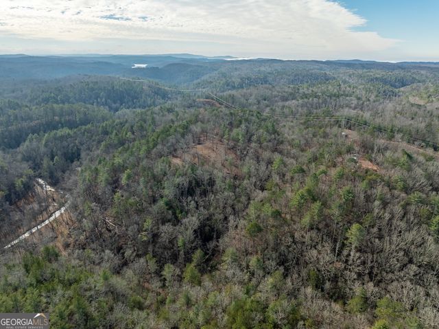 780 Banks Road, Ellijay, GA 30540