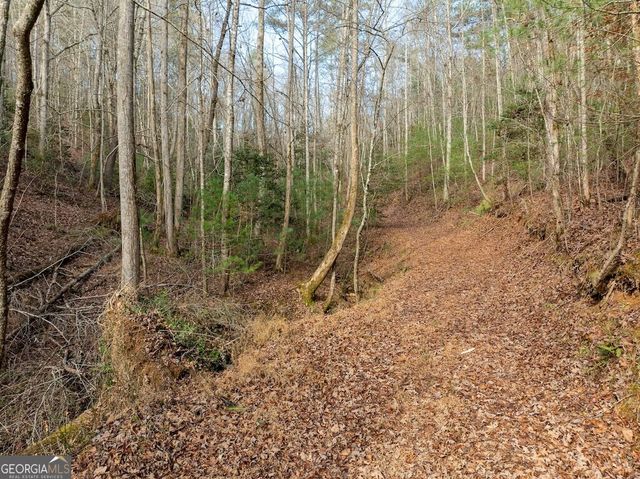 780 Banks Road, Ellijay, GA 30540