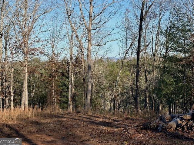 780 Banks Road, Ellijay, GA 30540