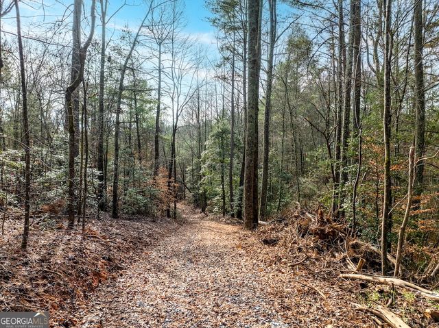 780 Banks Road, Ellijay, GA 30540