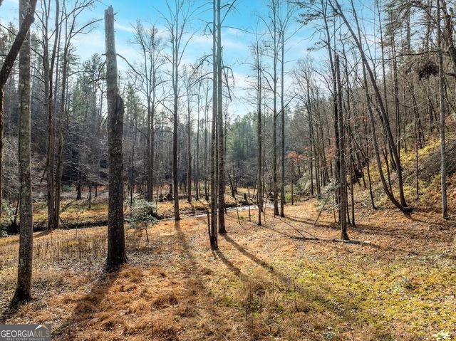 780 Banks Road, Ellijay, GA 30540