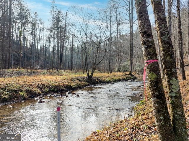 780 Banks Road, Ellijay, GA 30540