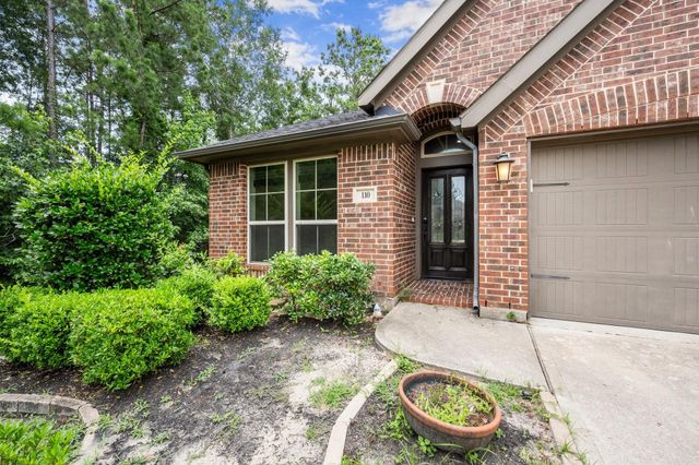 110 Logan Pass Court, Montgomery, TX 77316