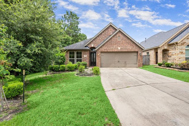 110 Logan Pass Court, Montgomery, TX 77316