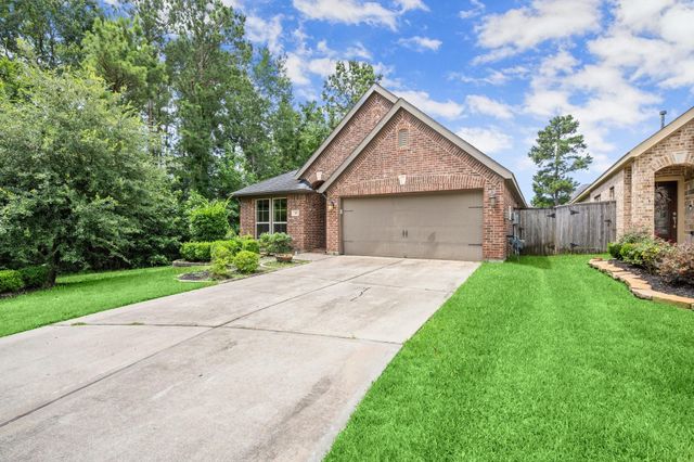 110 Logan Pass Court, Montgomery, TX 77316