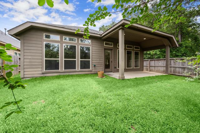 110 Logan Pass Court, Montgomery, TX 77316