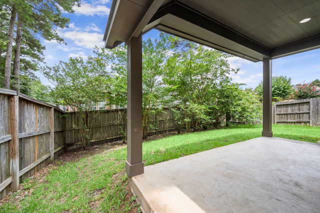 110 Logan Pass Court, Montgomery, TX 77316