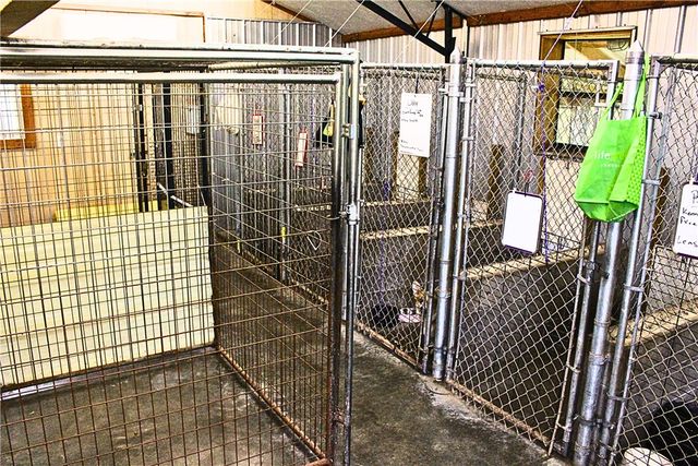 4816 Highway 65 S, Harrison, AR 72601