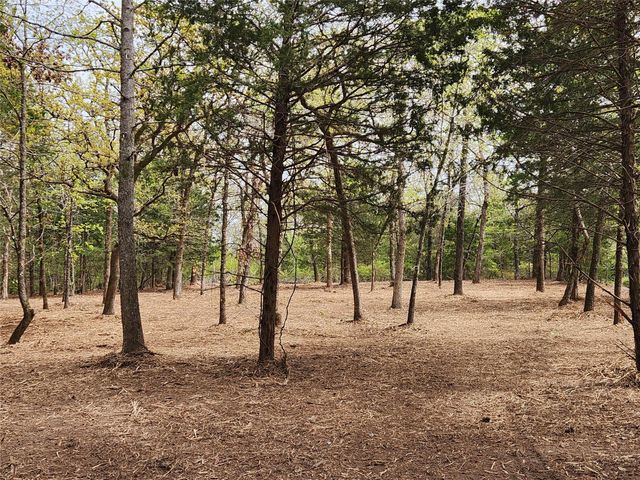 0 County Road 4710 Lot 465, Larue, TX 75770