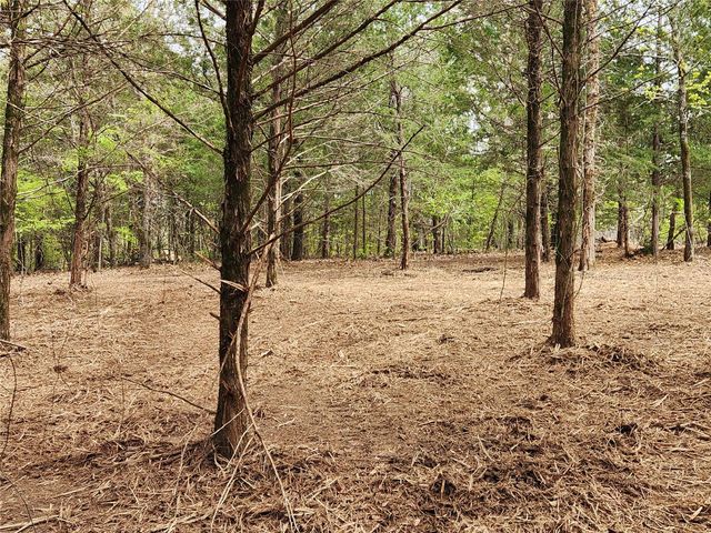 0 County Road 4710 Lot 465, Larue, TX 75770