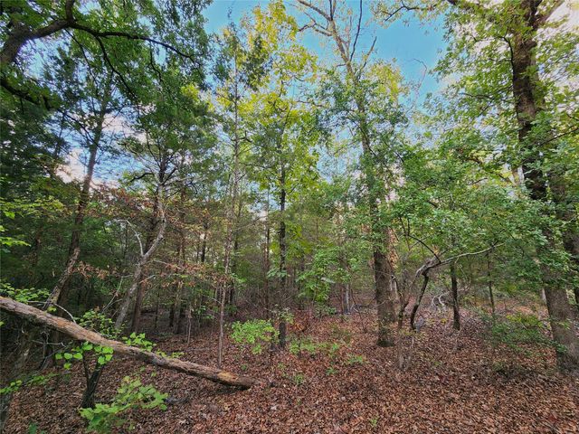 0 County Road 4710 Lot 465, Larue, TX 75770