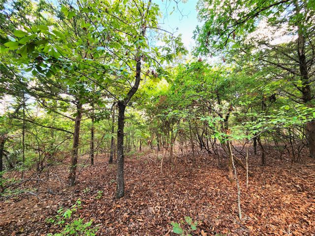 0 County Road 4710 Lot 465, Larue, TX 75770