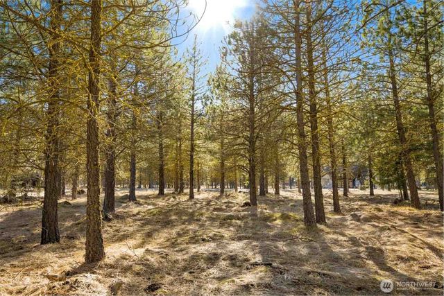 381 Gold Leaf Lane, Cle Elum, WA 98922