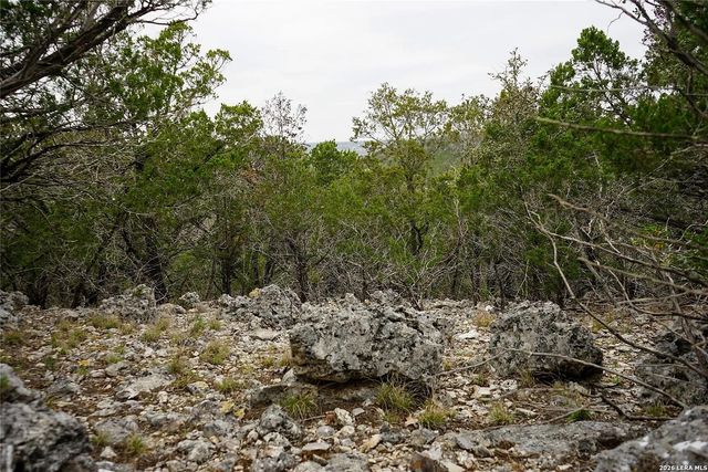 1450 Primrose, Kerrville, TX 78028