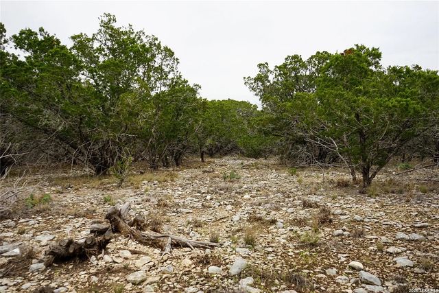 1450 Primrose, Kerrville, TX 78028