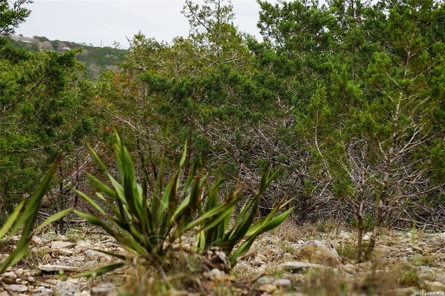 1450 Primrose, Kerrville, TX 78028