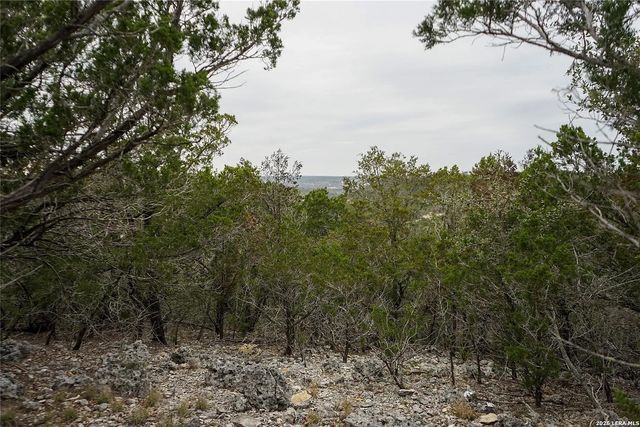 1450 Primrose, Kerrville, TX 78028