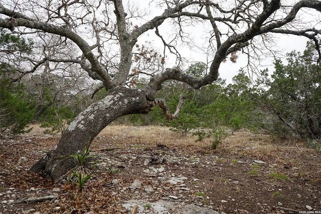 1450 Primrose, Kerrville, TX 78028