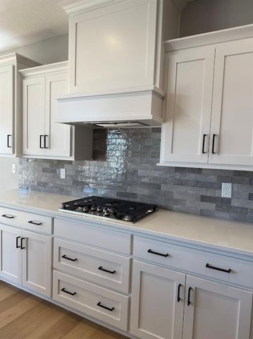 16737 S Ripley Street, Olathe, KS 66062