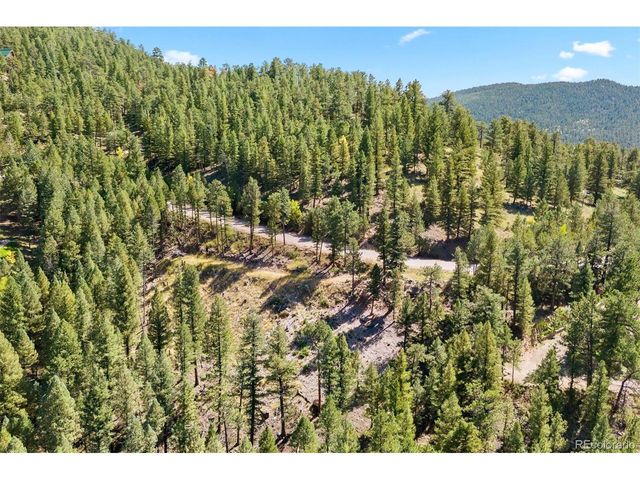 83 Conifer Dr, Evergreen, CO 80439