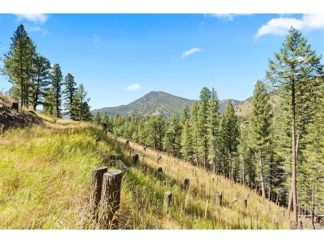 83 Conifer Dr, Evergreen, CO 80439