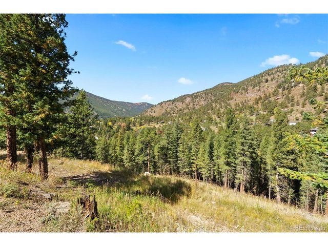83 Conifer Dr, Evergreen, CO 80439