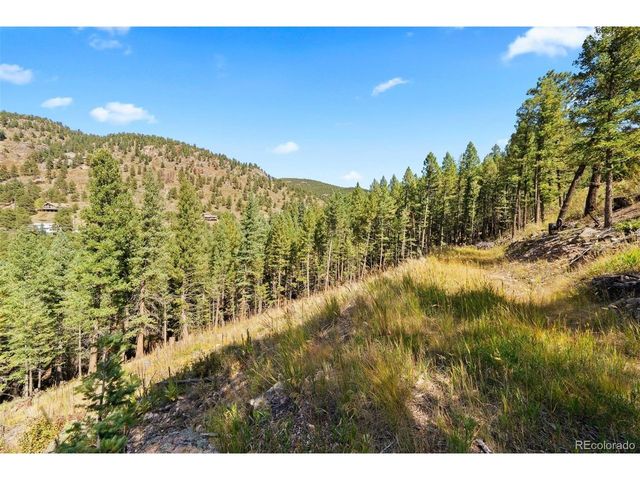 83 Conifer Dr, Evergreen, CO 80439