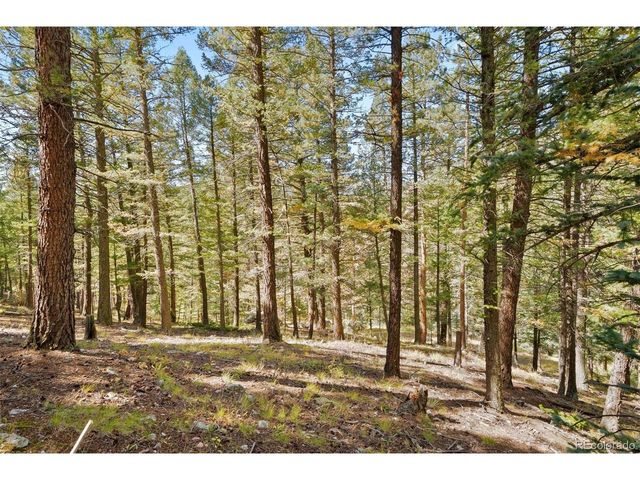 83 Conifer Dr, Evergreen, CO 80439