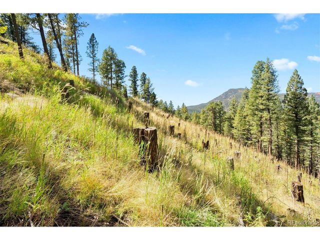 83 Conifer Dr, Evergreen, CO 80439