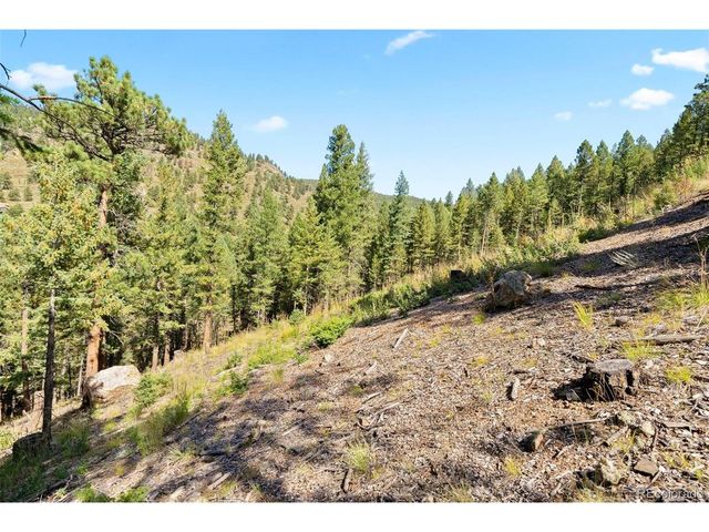 83 Conifer Dr, Evergreen, CO 80439