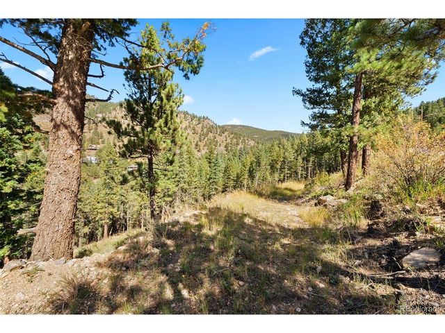 83 Conifer Dr, Evergreen, CO 80439