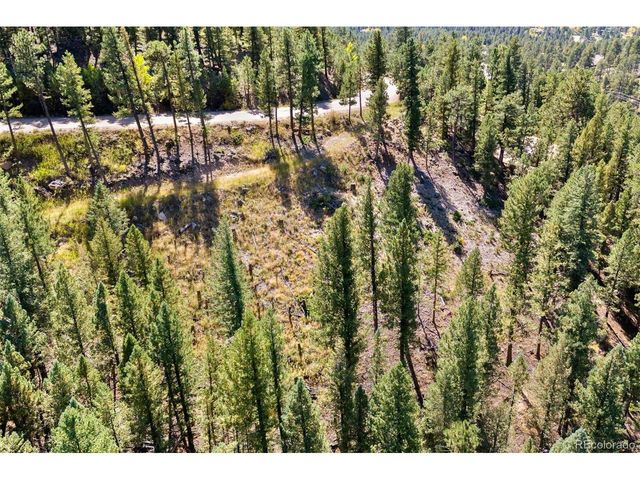 83 Conifer Dr, Evergreen, CO 80439