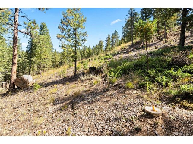 83 Conifer Dr, Evergreen, CO 80439