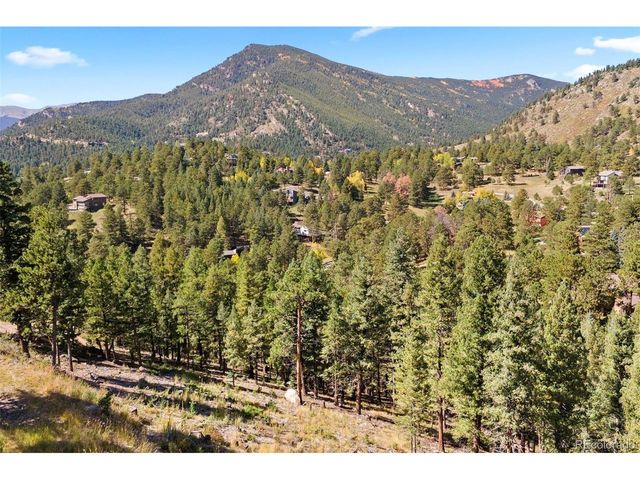 83 Conifer Dr, Evergreen, CO 80439