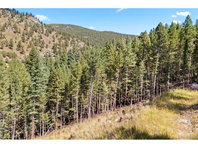 83 Conifer Dr, Evergreen, CO 80439