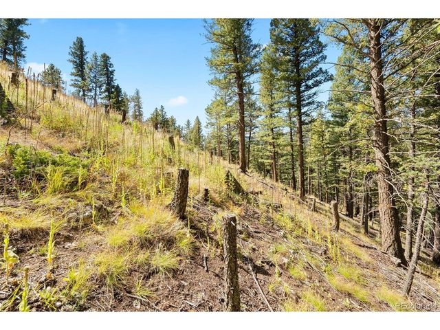 83 Conifer Dr, Evergreen, CO 80439