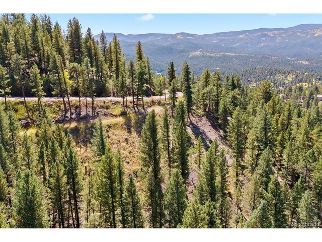 83 Conifer Dr, Evergreen, CO 80439