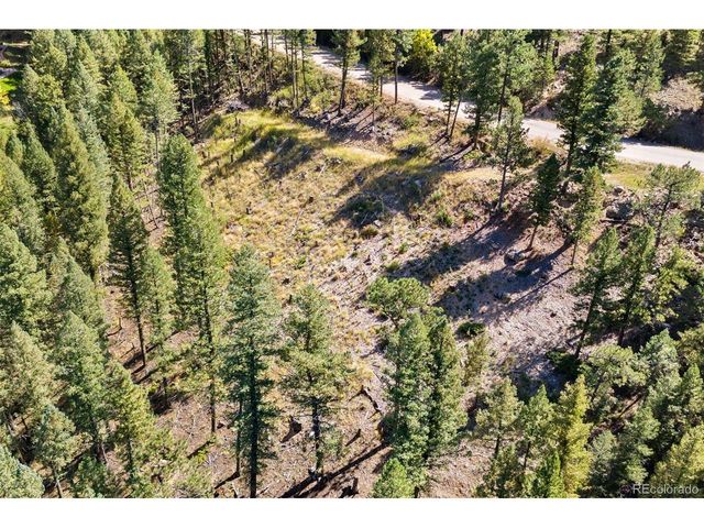 83 Conifer Dr, Evergreen, CO 80439