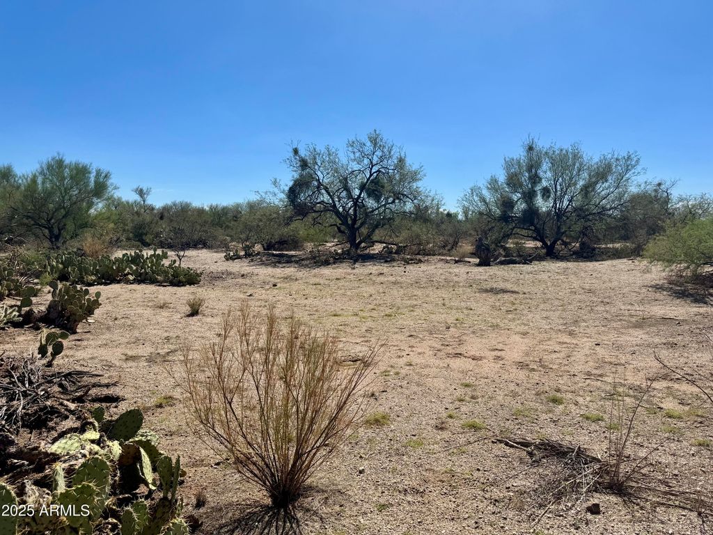 Image 1 of property listing at 24XXXX S AZ-79 Road C, Florence, AZ 85132