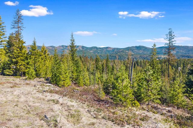 555 Happy Trails Ln, Newport, WA 99146