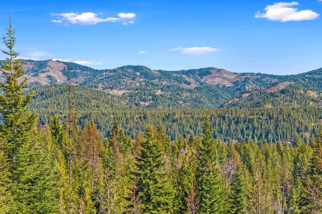 555 Happy Trails Ln, Newport, WA 99146