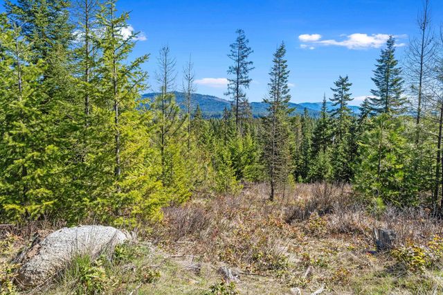 555 Happy Trails Ln, Newport, WA 99146