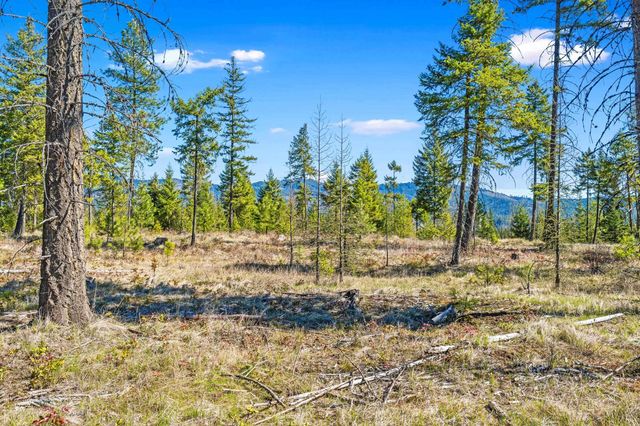 555 Happy Trails Ln, Newport, WA 99146