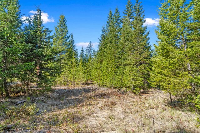 555 Happy Trails Ln, Newport, WA 99146