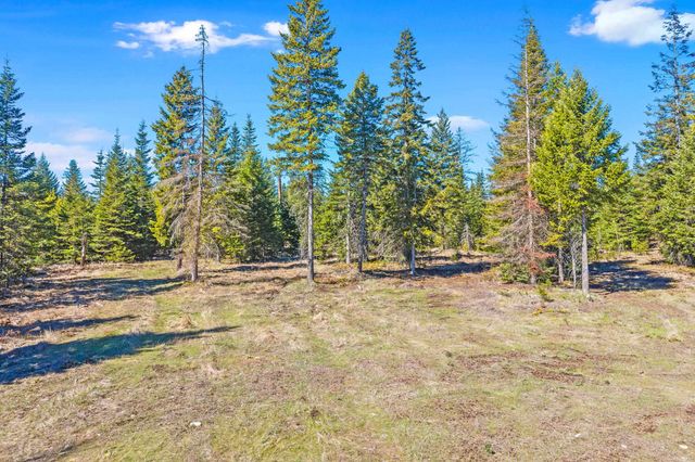 555 Happy Trails Ln, Newport, WA 99146