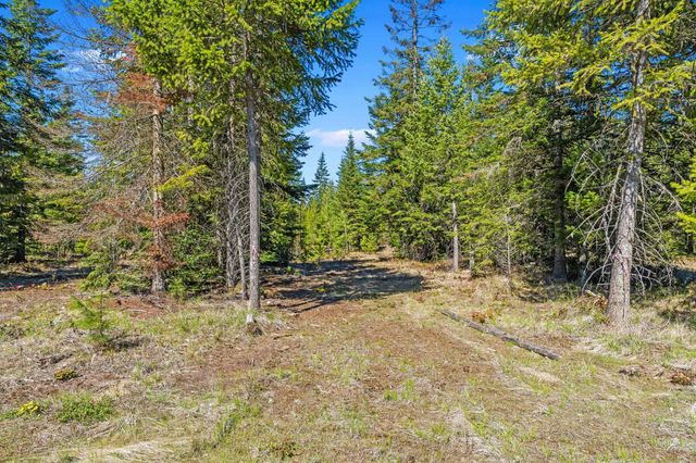 555 Happy Trails Ln, Newport, WA 99146