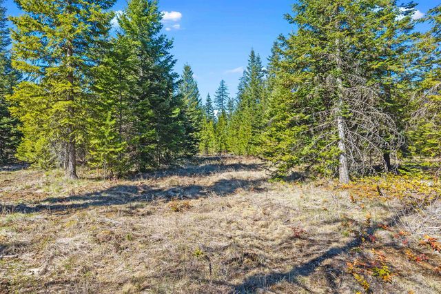 555 Happy Trails Ln, Newport, WA 99146