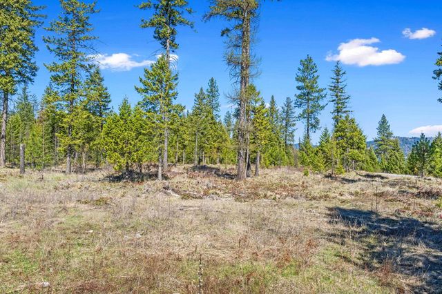 555 Happy Trails Ln, Newport, WA 99146